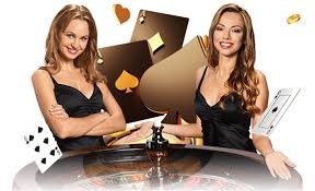 3355bet5